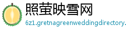 照萤映雪网